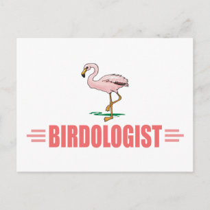 Funny Birding Flamingo Postcard