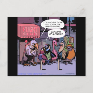 Funny Birds Of A Feather Postcard