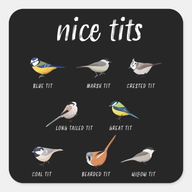 Funny birdwatching gift for birder bird watcher square sticker (Front)