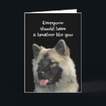 Funny Birthday Brother Dog Animal Humour Card<br><div class="desc">Everyone should have a brother like you.  I don't see why I have to be the only one to suffer</div>