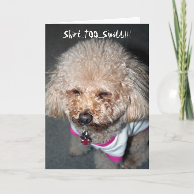 Funny Birthday Card (Front)