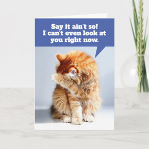 Funny Birthday Card for Old Geezer From The Cat