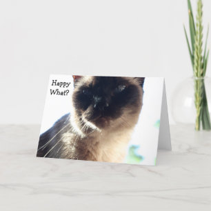 Funny Birthday Card with Cat: Happy What?
