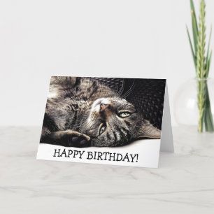 Funny birthday card with cat - ready to play!