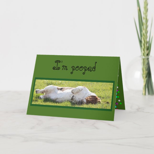 Funny Birthday Card with Sleeping Basset Hound (Front)