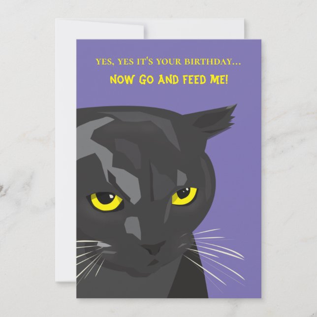 Funny Birthday Cat Card, Invitation (Front)