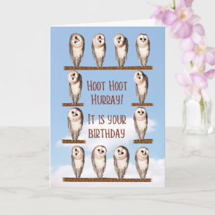 Funny Birthday, Curious Owls Card