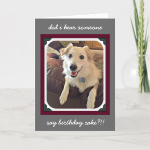 Funny Birthday, Cute Dog birthday cake wishes Card