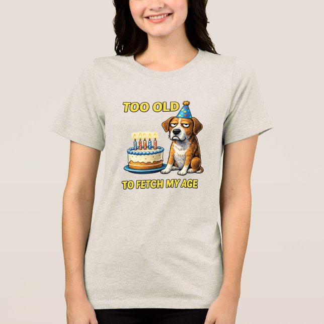 Funny Birthday Dog Party Hat Cute Puppy Birthday D Tri-Blend Shirt (Front)
