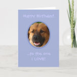 Funny Birthday From Dog To Owner with Love Card<br><div class="desc">Surprise a dog lover with a custom funny birthday card from the one who loves him or her the most... .his or her dog,  aka,  his/her SNIFF-icant OTHER! Add a photo of fido to make this cute card complete.</div>