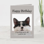 Funny Birthday Old Age Over the Hill, Cat Humor Card<br><div class="desc">If you think you're old you'll be old but if you think you're young you'll be a delusional old fart.  Fun Cat Birthday Humor.</div>