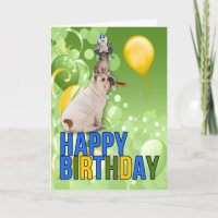 Funny Birthday Pets for a Well Balanced Person