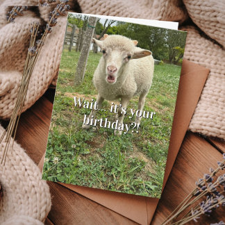 Funny Birthday Sheep Surprise face Farm Animal Card