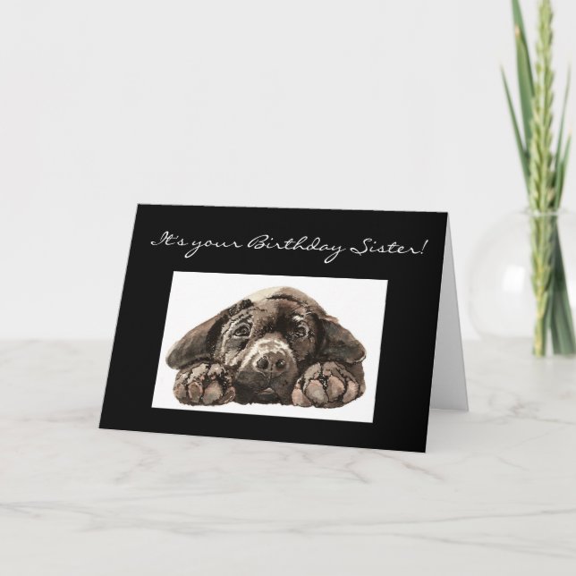 Funny Birthday Sister, Sad Dog, Labrador Retriever Card (Front)