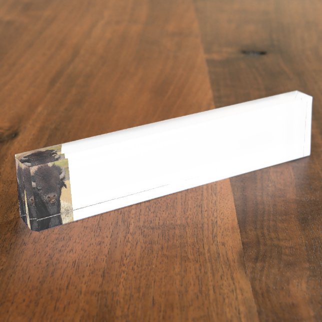 funny bison nameplate (Side)