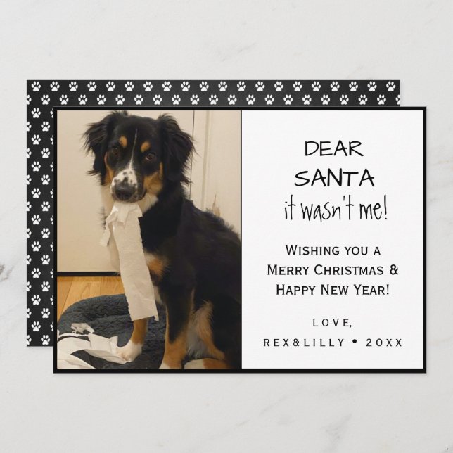 Funny Black and White Pet Paw Print Dog Holiday Card (Front/Back)