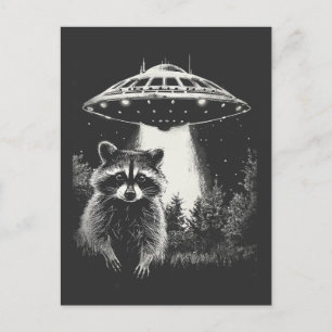 Funny Black and White Space Racoon UFO  Postcard