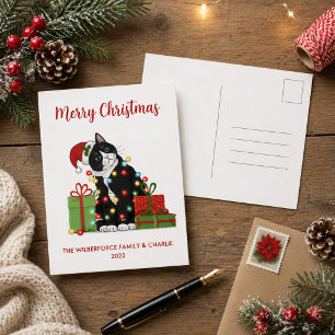 Funny Black Cat and Christmas Lights Christmas Holiday Postcard