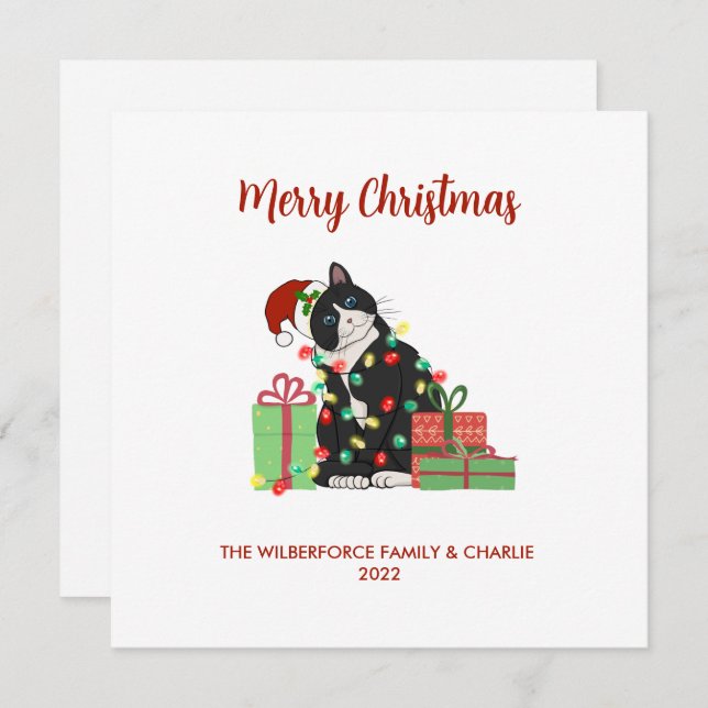 Funny Black Cat and Lights Christmas Holiday Card (Front/Back)