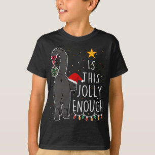 Funny Black Cat Christmas Is This Jolly Enough Wom T-Shirt