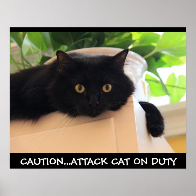 Funny Black Cat Poster, Attack Cat on Duty Poster (Front)