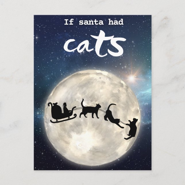 Funny black cat Santa Christmas Holiday Postcard (Front)