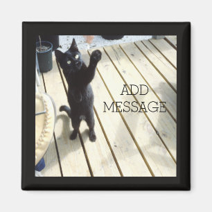 Funny Black Cat Swatting The Air Outside Magnet