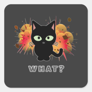 Funny Black Cat What Cute Kitten Lovers Pet Humor  Square Sticker