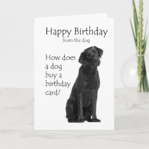 Funny Black Lab Birthday Humour Card