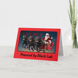 Funny Black Lab Christmas Holiday Card