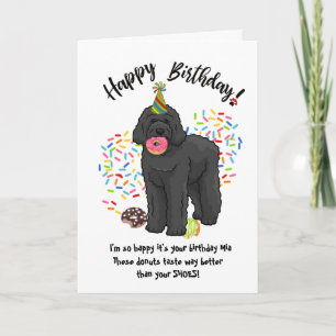 Funny Black Labradoodle Birthday Card Doughnuts