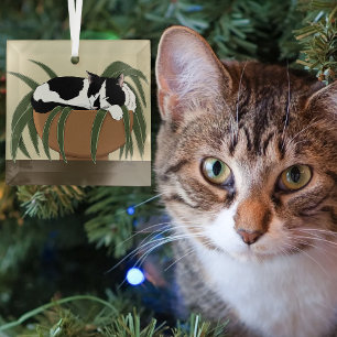 Funny Black White Tuxedo Cat Sleeping Houseplant Glass Tree Decoration