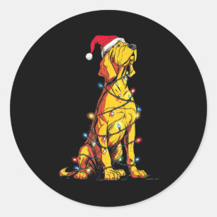 Funny Bloodhound Christmas Graphics Dog Lights Lov Classic Round Sticker