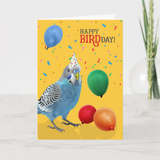 Funny Blue and White Budgie Parakeet Birthday Card