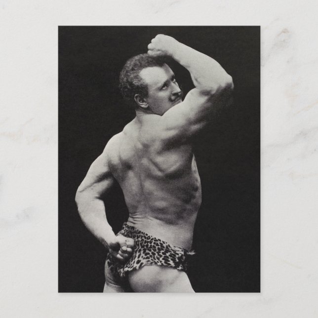 Funny Bodybuilder Postcard (Front)