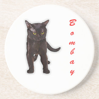 Funny Bombay Cat Japan Gift For Dad Mum Brother Coaster
