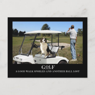 Funny Border Collie Dog Postcard, lost ball Postcard