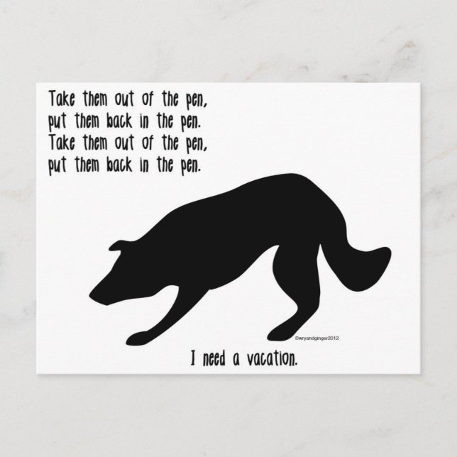 Funny border collie post card (Front)