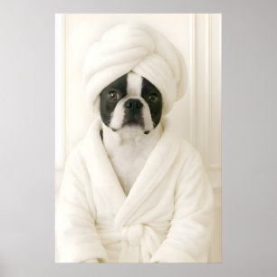 Funny Boston Terrier Bathroom Print, Terrier In Poster