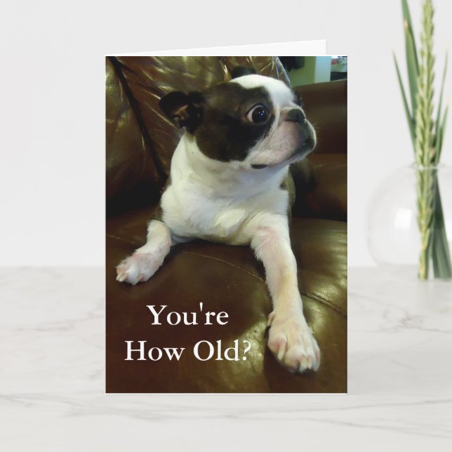 Funny Boston Terrier Birthday Card (Animal Rescue) (Front)