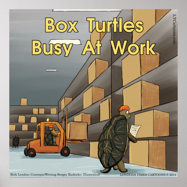 Funny Box Turtle Glossy Poster (Front)