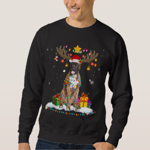 Funny Boxer Dog Christmas Reindeer Christmas Light Sweatshirt