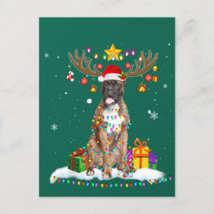 Funny Boxer Dog Christmas Tee Reindeer Christmas Postcard