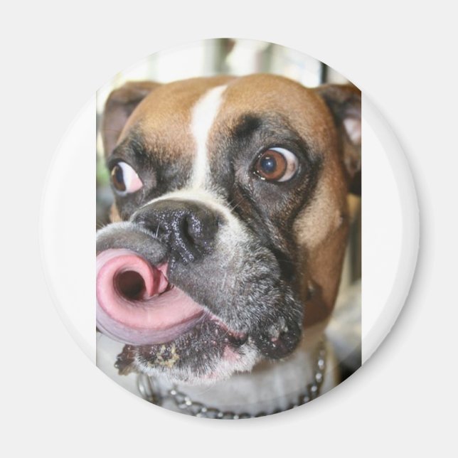 Funny Boxer Dog Magnet (Front)