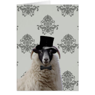 Funny bridegroom sheep in top hat