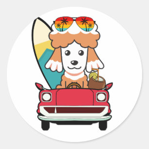 Funny Brown Dog is driving to the beach Classic Round Sticker
