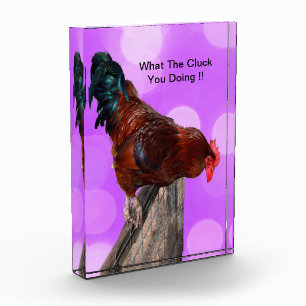 Funny Brown Rooster On A Fence Photo Block