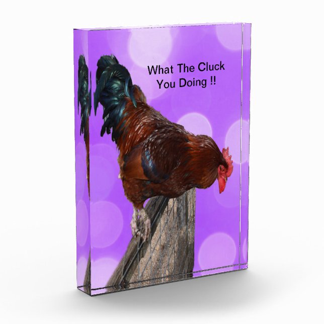 Funny Brown Rooster On A Fence Photo Block (Left)