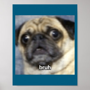 Funny Bruh Surprised Pug Dog Blurry Poster