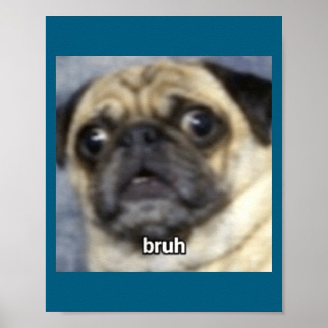 Funny Bruh Surprised Pug Dog Blurry Poster (Front)